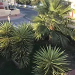 Altos De La Bahia X Torrevieja