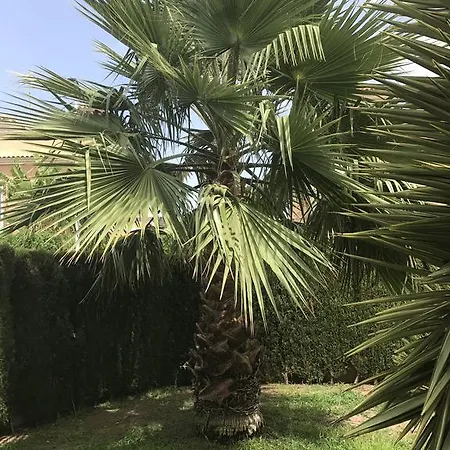 Altos De La Bahia X Apartment Torrevieja