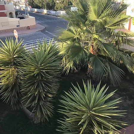 Altos De La Bahia X Torrevieja