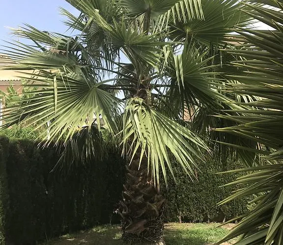 Altos De La Bahia X شقة تورّيفيِخا