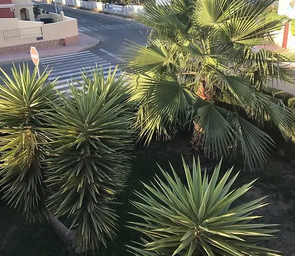 Altos De La Bahia X تورّيفيِخا